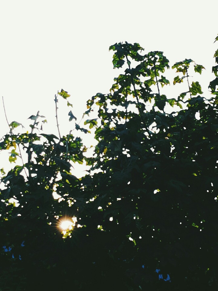 Goodbye. Summer
