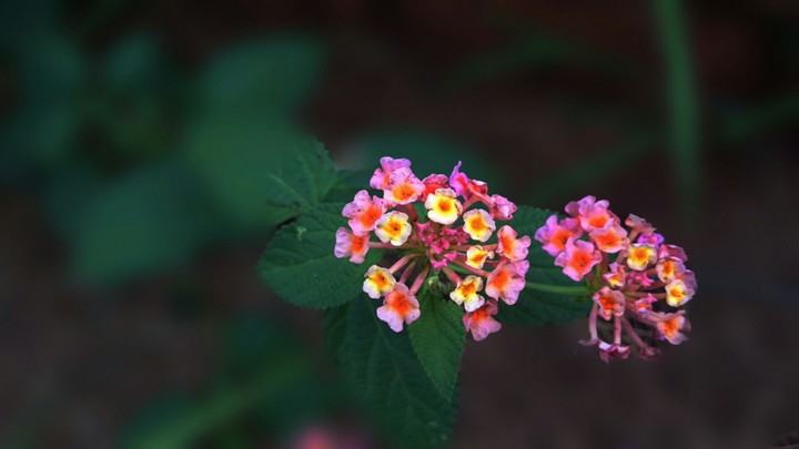 colourful and vibrant