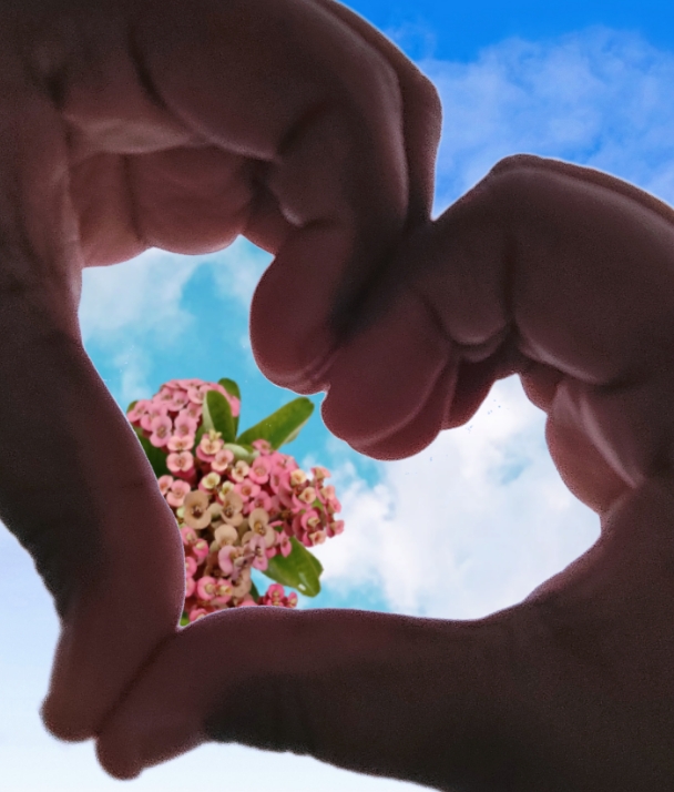 hearts