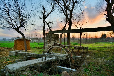 village life (swabi pakistan)