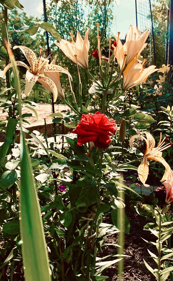 In the centre of beauty..