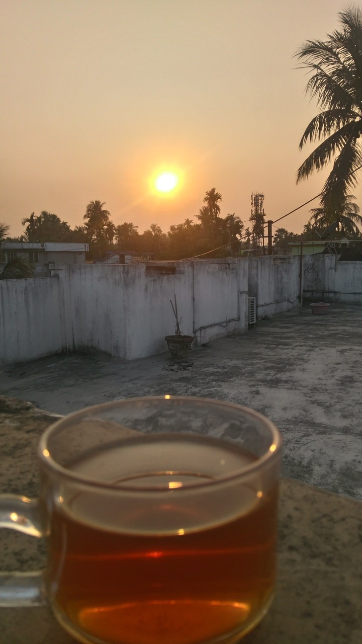 roofy chai