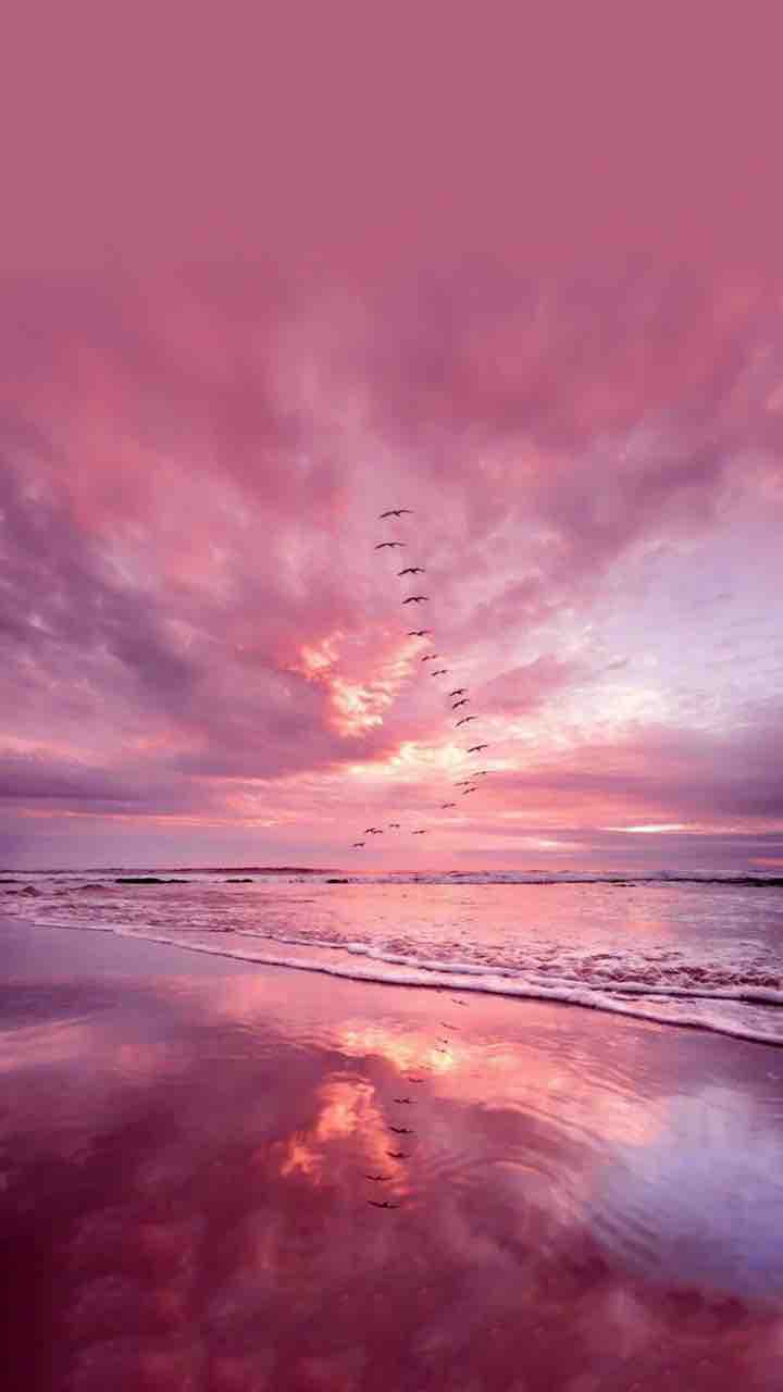 Pink view