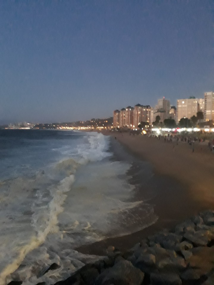 como te amo viña