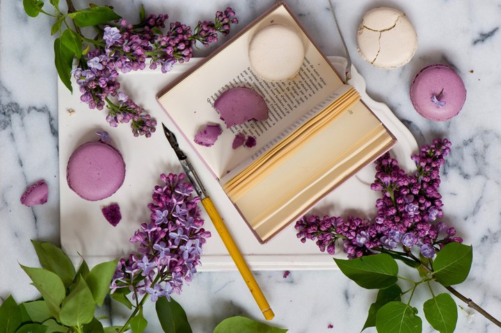 The book and macaron are a very good couple.
