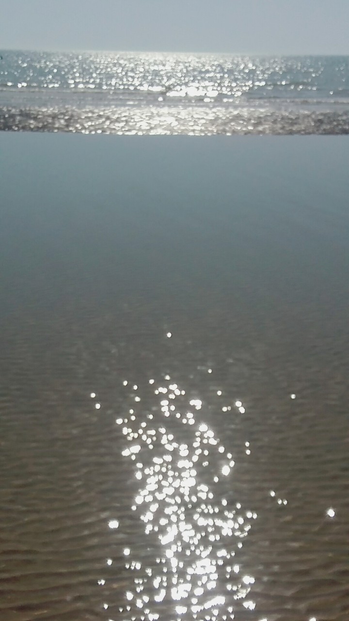 ساحل