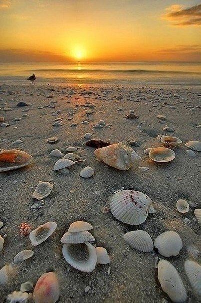 море