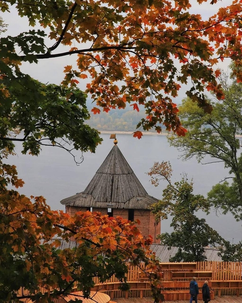 Building, deciduous achtergronden