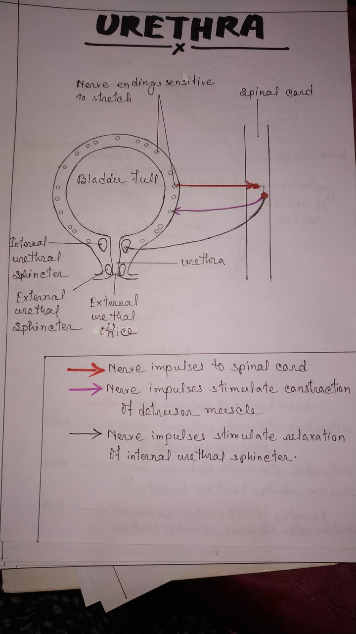 science