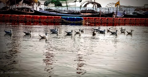 The Ganga