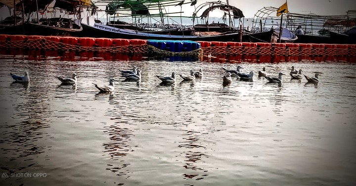The Ganga