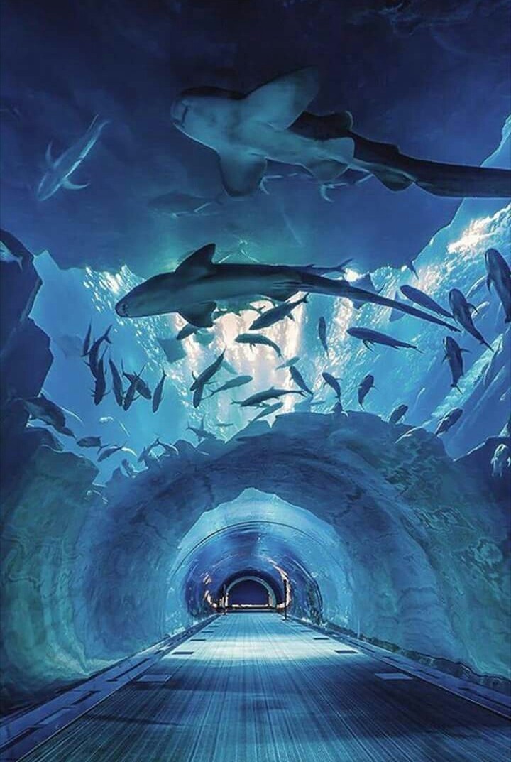 Beauty of DUBAI