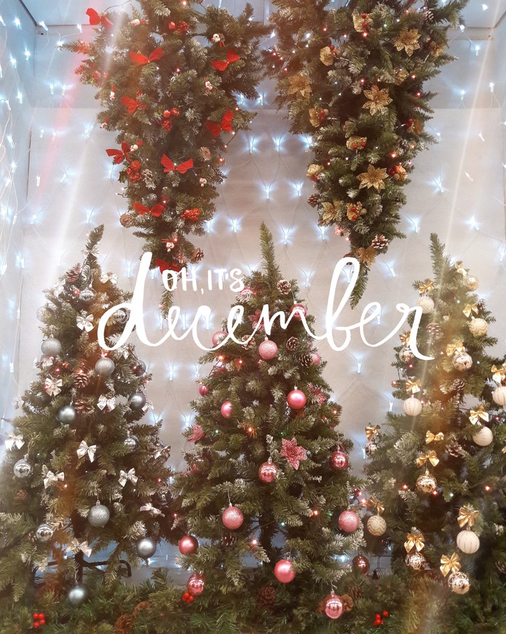 December, New Year and Christmas tree