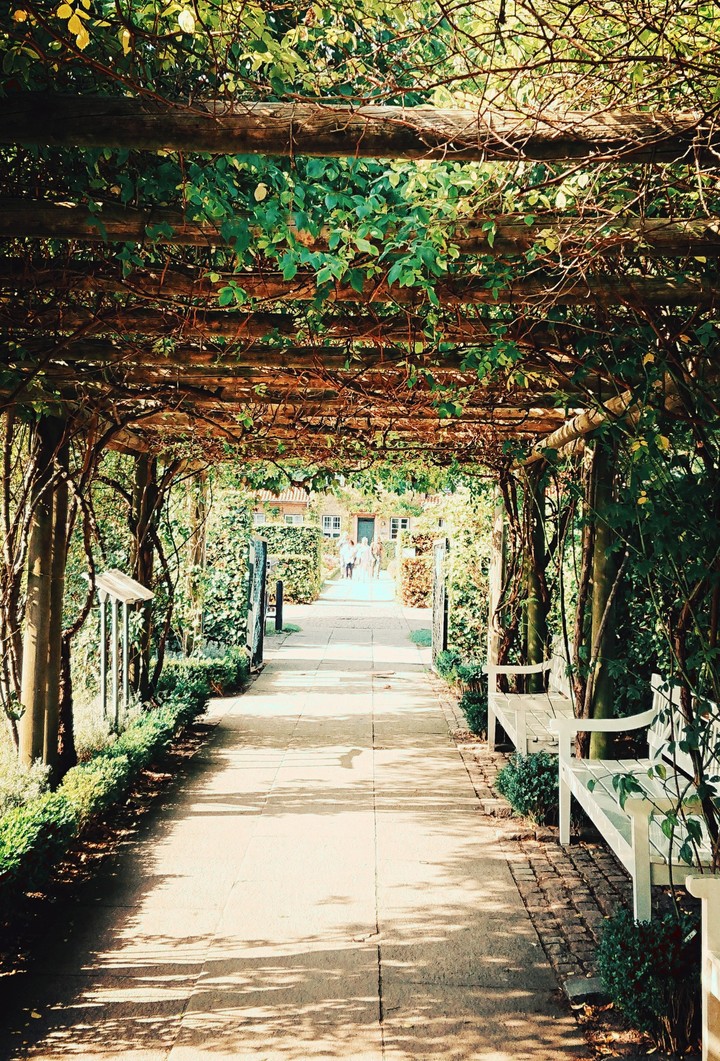 Take a walk with me