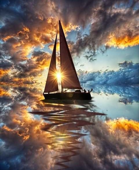 boats