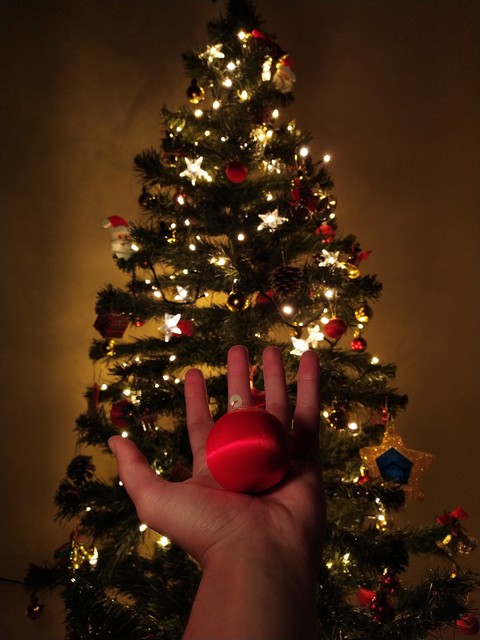sfondi tradition, spruce