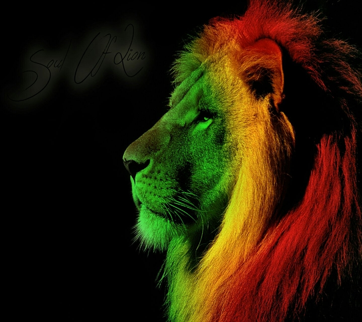 Lion