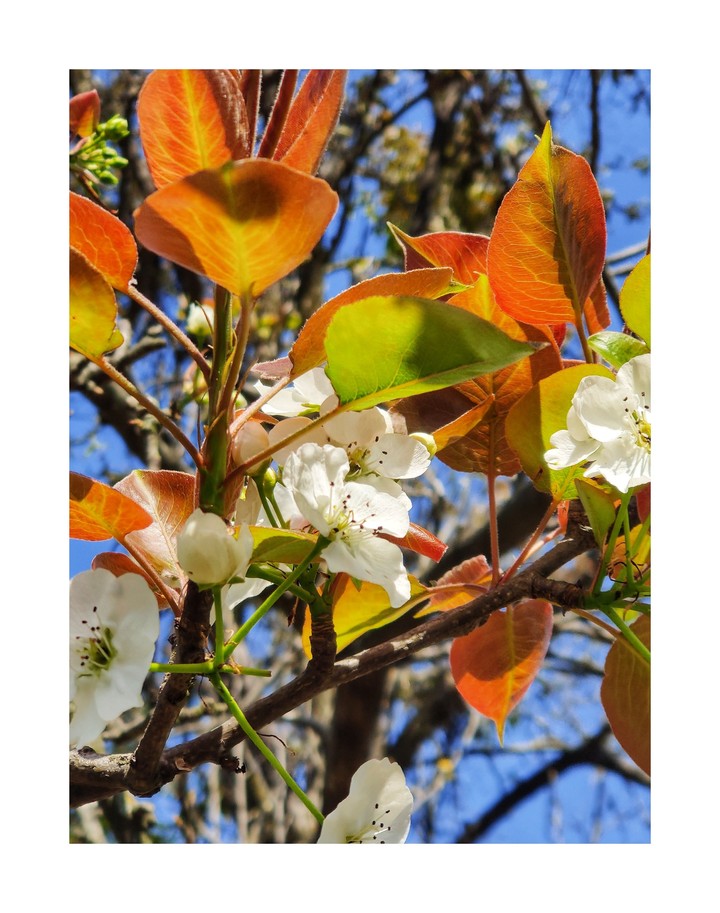 Signs of Spring season