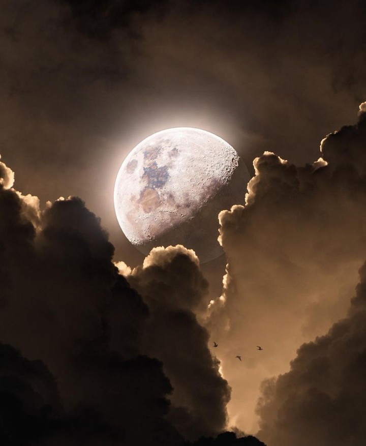 Moon
