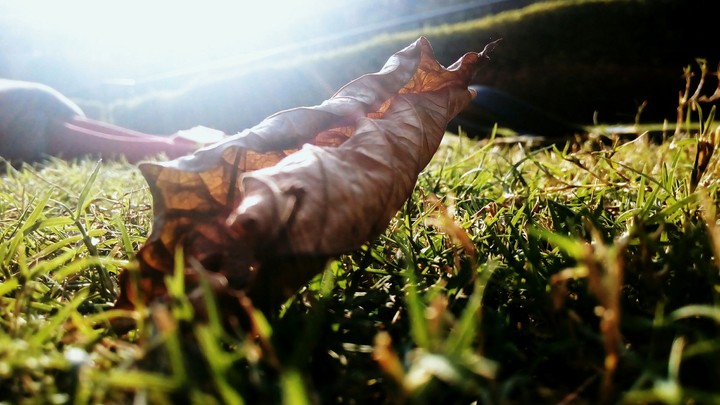 AUTUMN