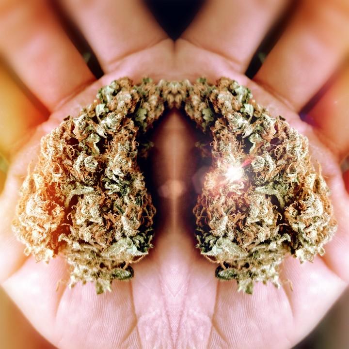 nugg
