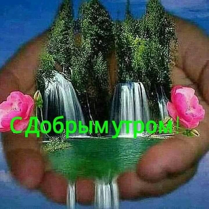 с добрым утром
