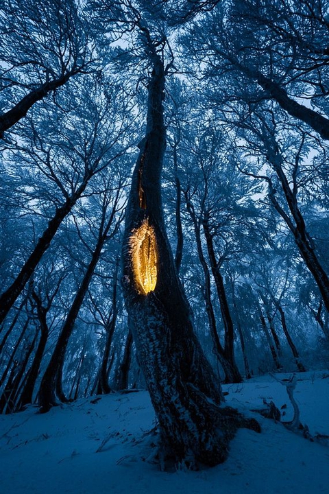mystic