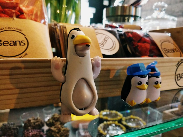 little penguins