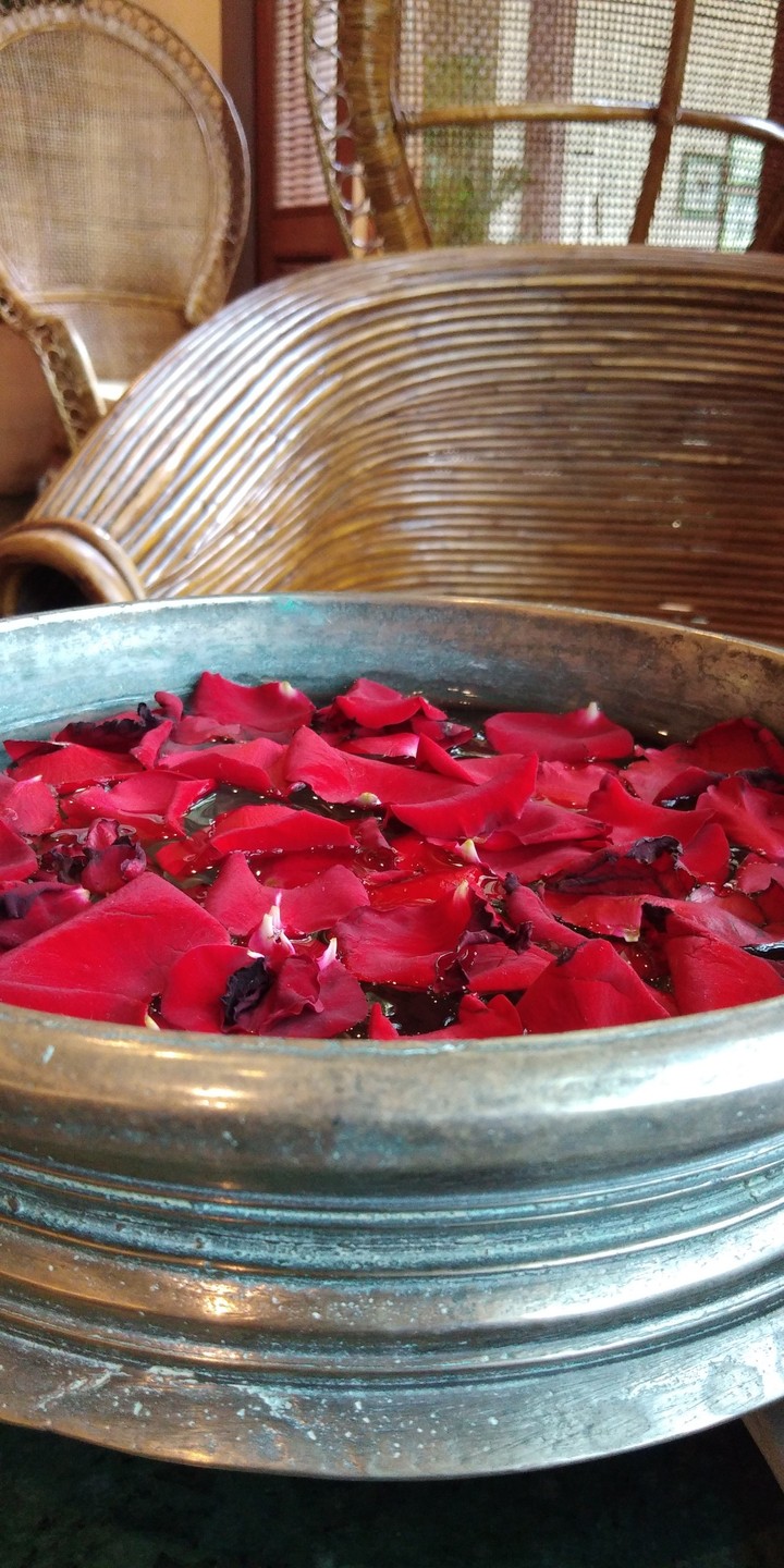 rose petals
