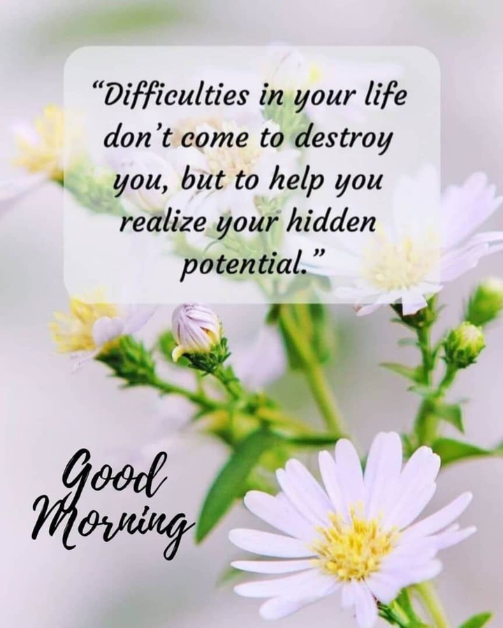good morning