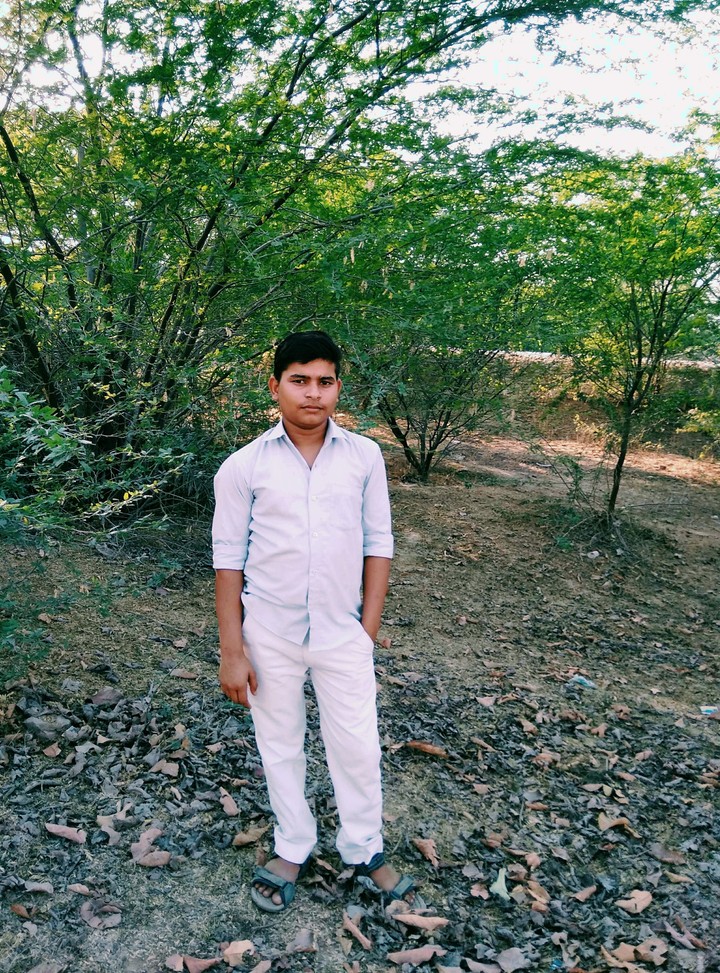 Rohit