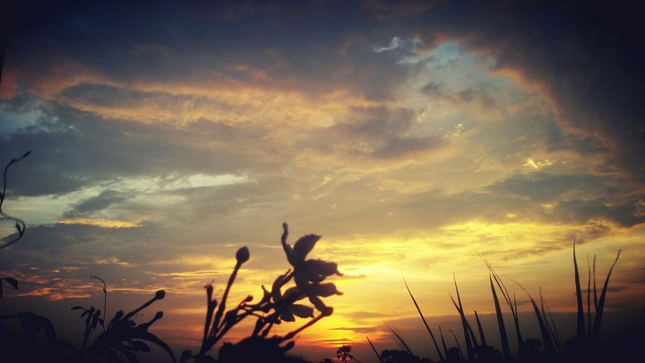 sunset