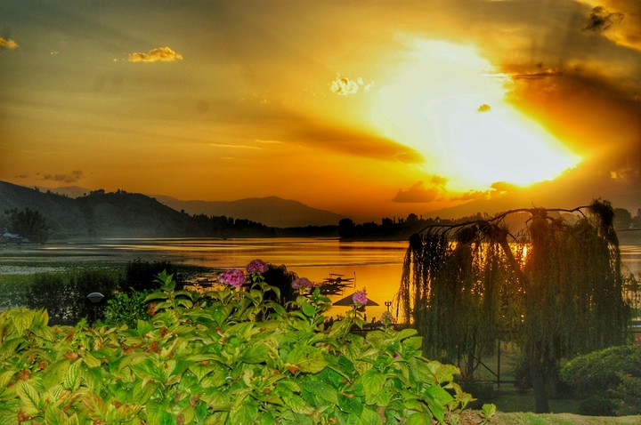 Light plays important role kashmir