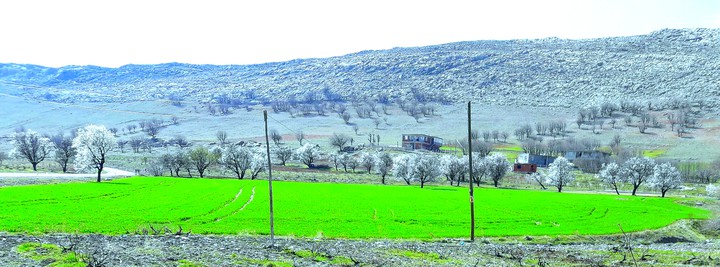 village