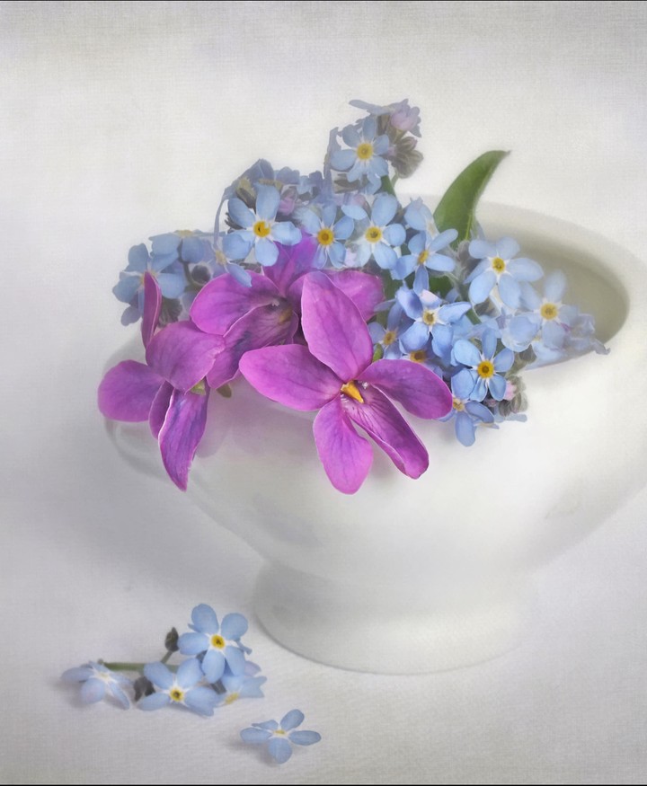 spring