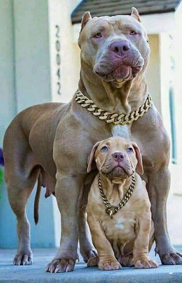 *