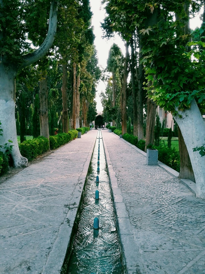 fin garden