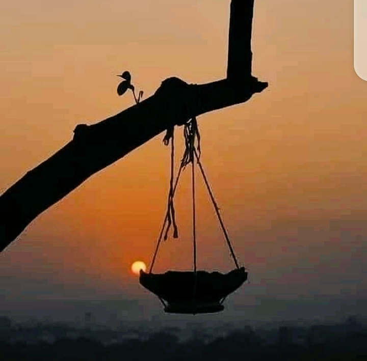 Creativity