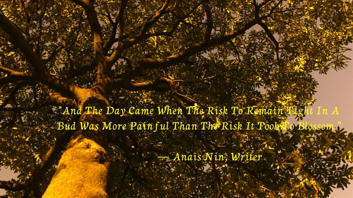 Be Brave. Higher the risk Higher the Reward.