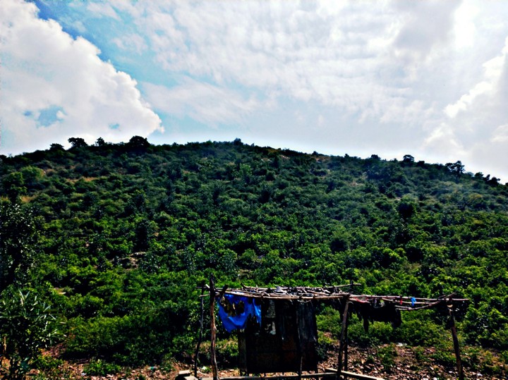 Hills