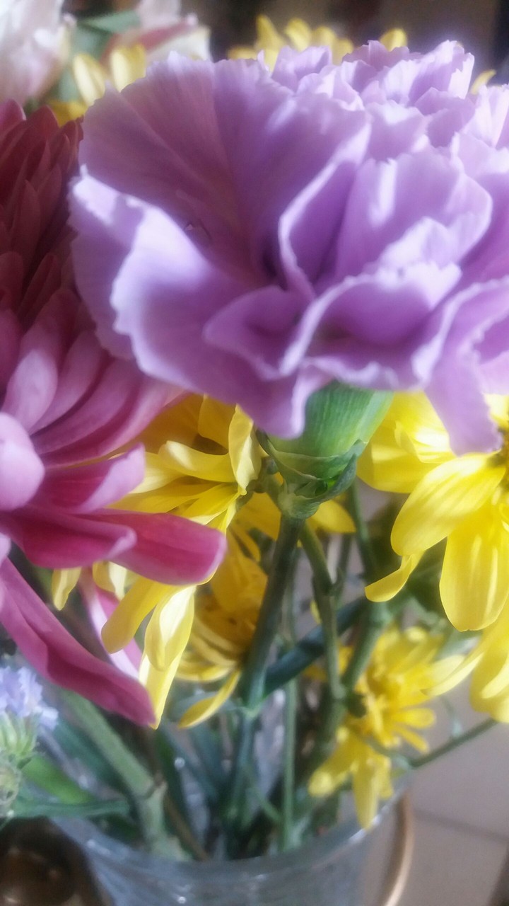 Friday's fresh flowers