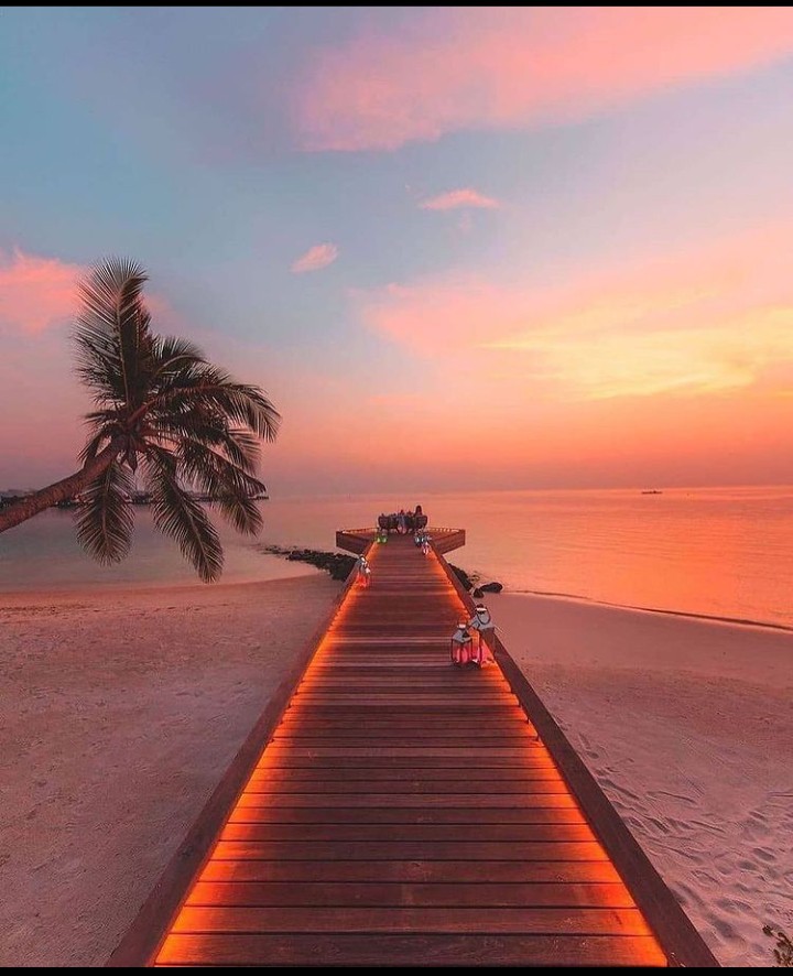 BEACH PERFECT