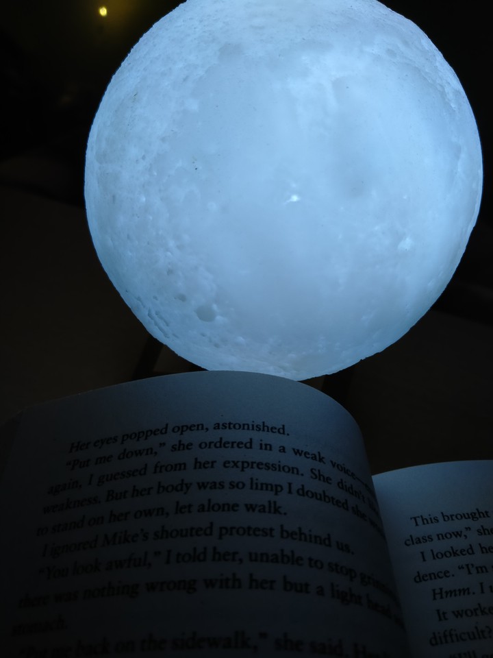 novel