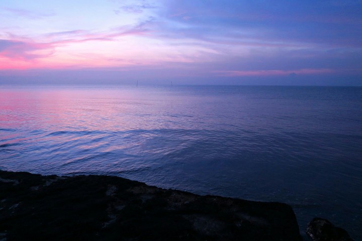 Violet Sea