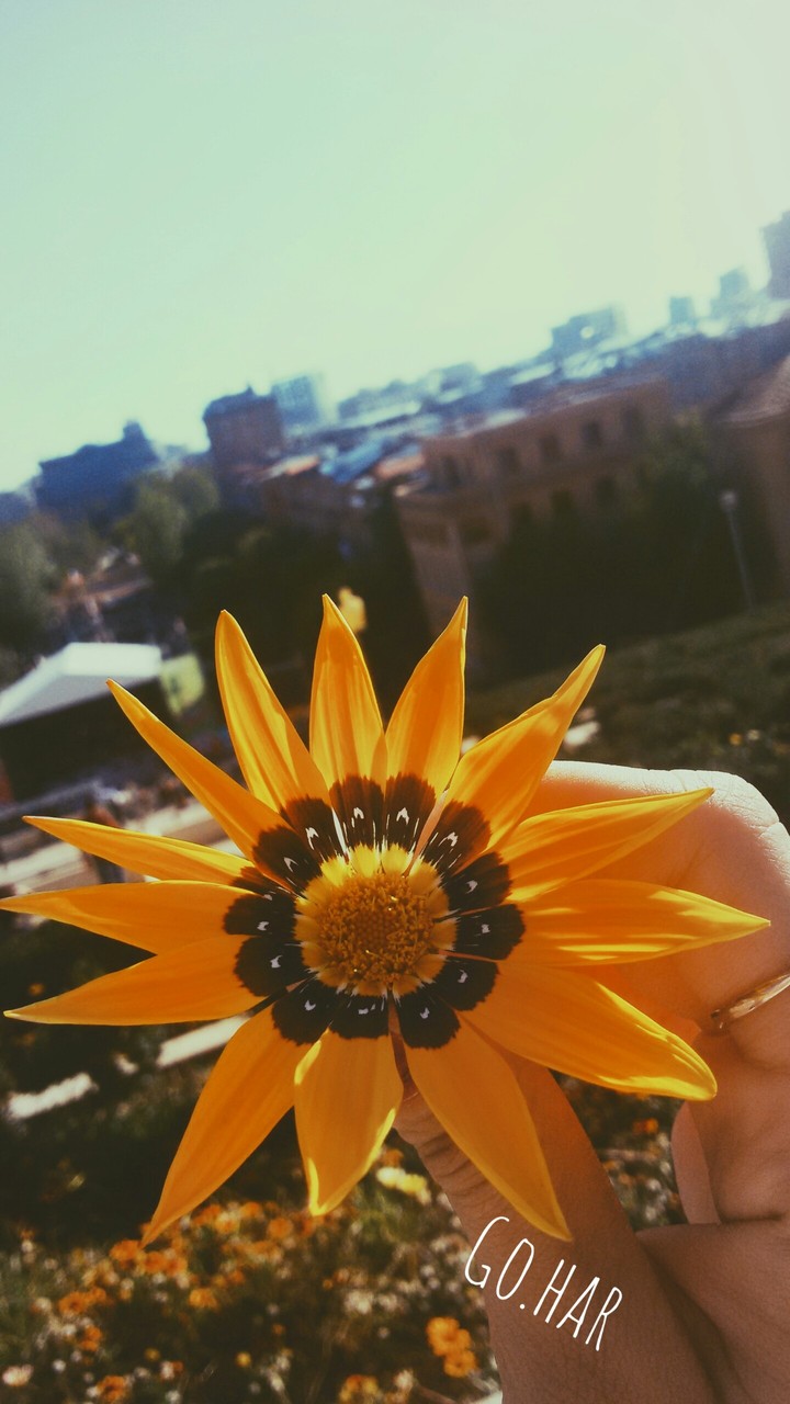♡