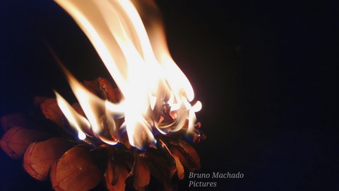 Fire.