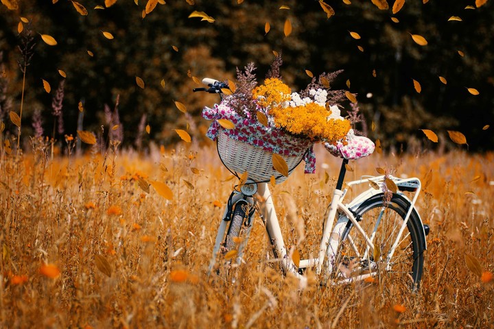Cycle