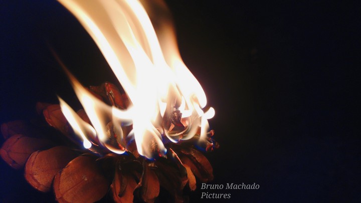 Fire.