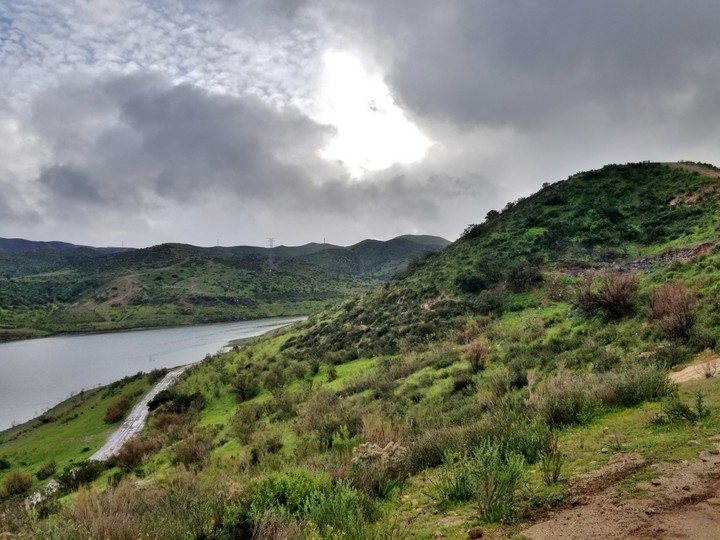 nature