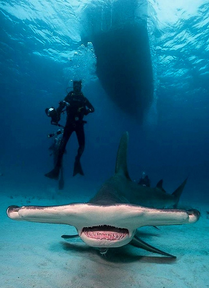 Diving at Hammer Time